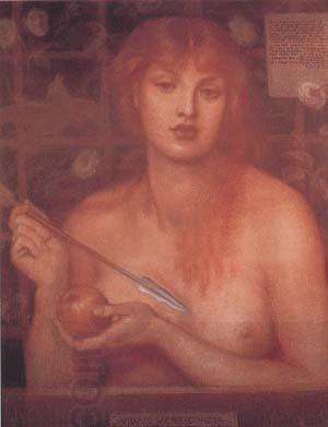 Dante Gabriel Rossetti Study for Venus Verticordia (mk28) oil painting picture